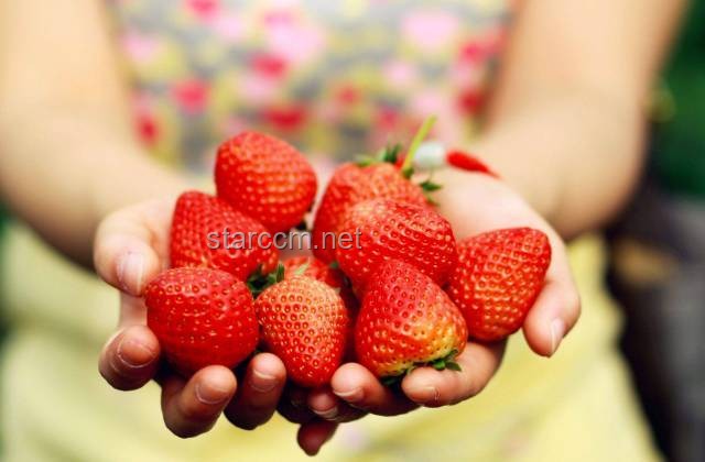 🍓天价草莓背后的创新超市奇谭：20美金一颗，离谱还是颠覆？